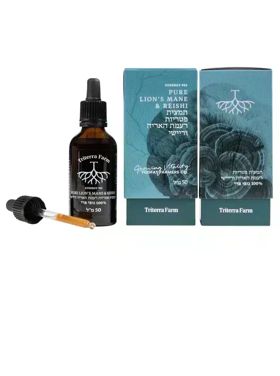 בקבוק פתוח של תמצית סינרגיה רעמת האריה וריישי (Lion’s Mane & Reishi) של טריטרה פארם עם טפטפת, לצד שתי אריזות תואמות. תמצית במיצוי משולש (Triple Extract), 50 מ