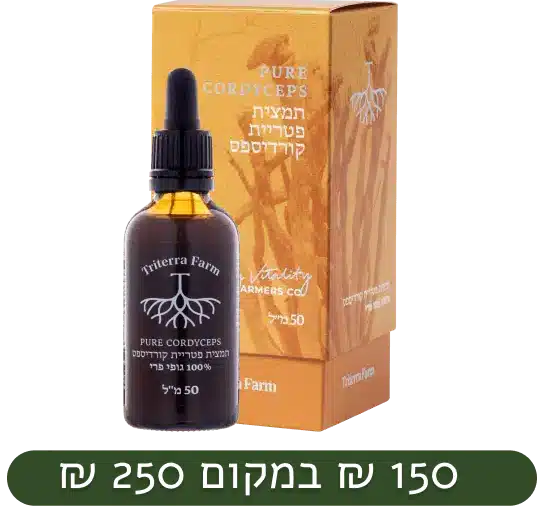 קורדיספס – גופי פרי