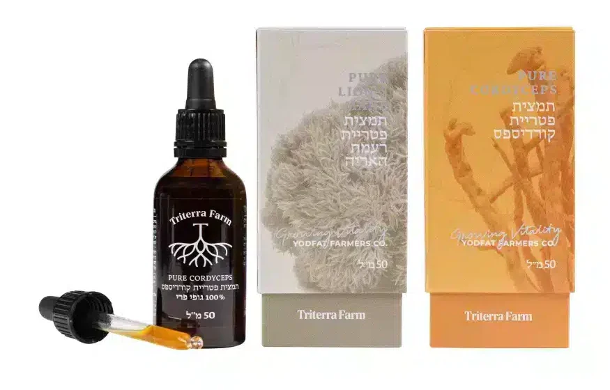 האם פטריות עוזרות בבעיות עיכול? האם פטריות עוזרות בבעיות עיכול?