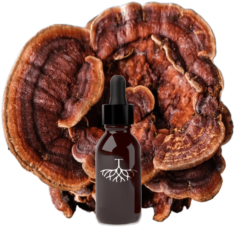 פטריות לאיזון הורמונלי