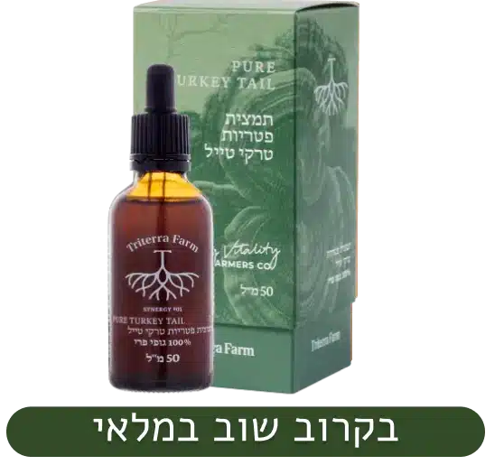 טרקי טייל – גופי פרי
