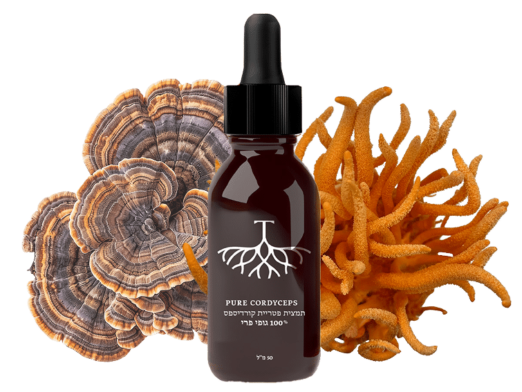 בטא גלוקנים בפטריות