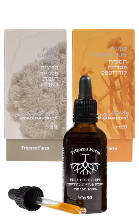 תמצית קורדיספס ורעמת האריה – מיצוי משולש, יחס 1:2, גידול ישראלי