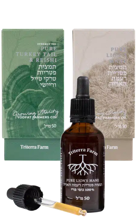 בקבוק תמצית ריישי (Reishi) של טריטרה פארם עם טפטפת, מוצב לצד שתי אריזות תמציות: רעמת האריה (Lion’s Mane) וסינרגיית טרקי טייל וריישי (Turkey Tail & Reishi), כולם במיצוי משולש (Triple Extract), נפח 50 מ