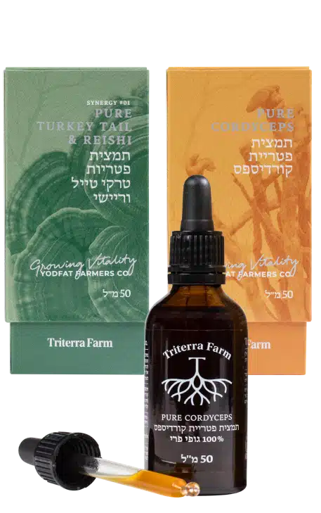 בקבוק תמצית ריישי (Reishi) של טריטרה פארם עם טפטפת, מוצב לצד שתי אריזות של תמציות משולשות: סינרגיה של טרקי טייל וריישי (Turkey Tail & Reishi) ותמצית קורדיספס (Cordyceps), כל אחת 50 מ