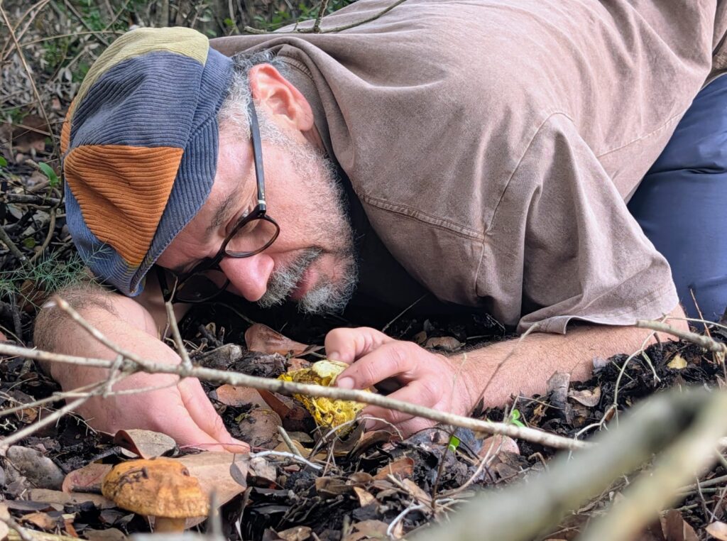 Shlomi Hayun foraging mushrooms in the forest — Triterra Farm