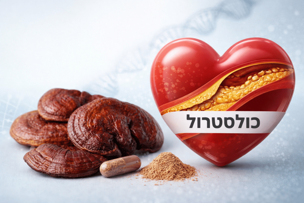 האם ריישי עוזרת להורדת כולסטרול?