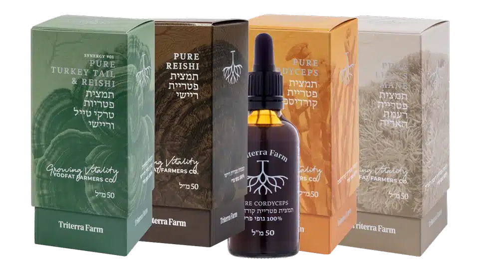 Triterra Farm four-extract bundle: Turkey Tail & Reishi, Reishi, Cordyceps and Lion's Mane boxes with a 50 ml dropper bottle