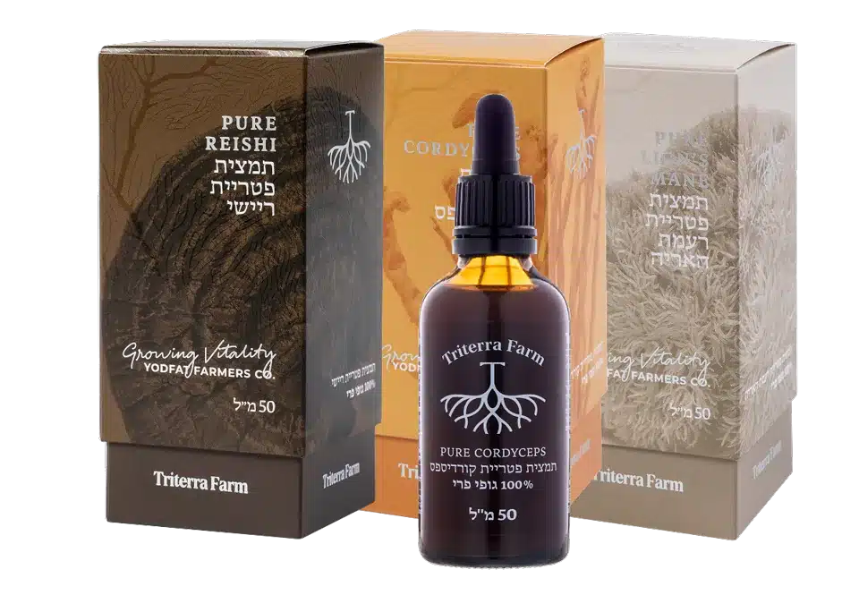 Triterra Farm three-extract bundle: Reishi, Cordyceps and Lion's Mane boxes with a 50 ml dropper bottle