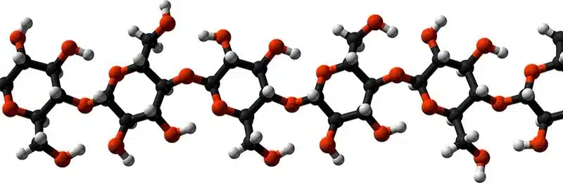 Structure of the beta-glucan 1,3/1,6 molecule — the polysaccharide measured in lab testing