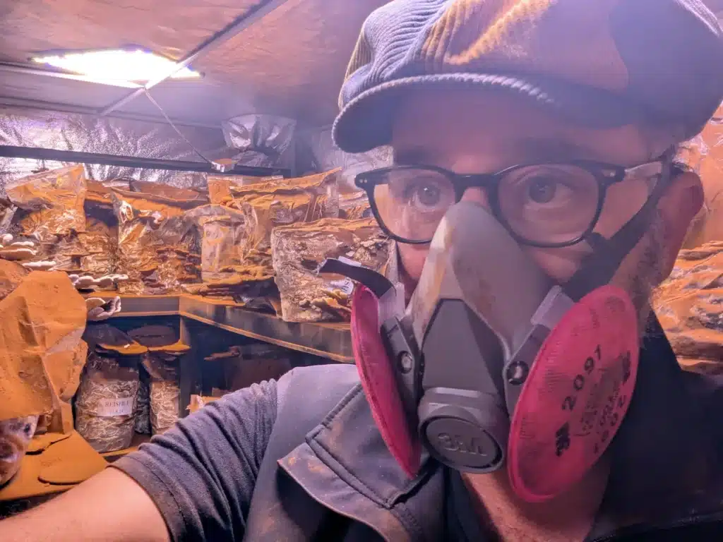 Shlomi Hayun, Triterra Farm's head grower, harvesting reishi in the growing tent, covered in orange spore dust