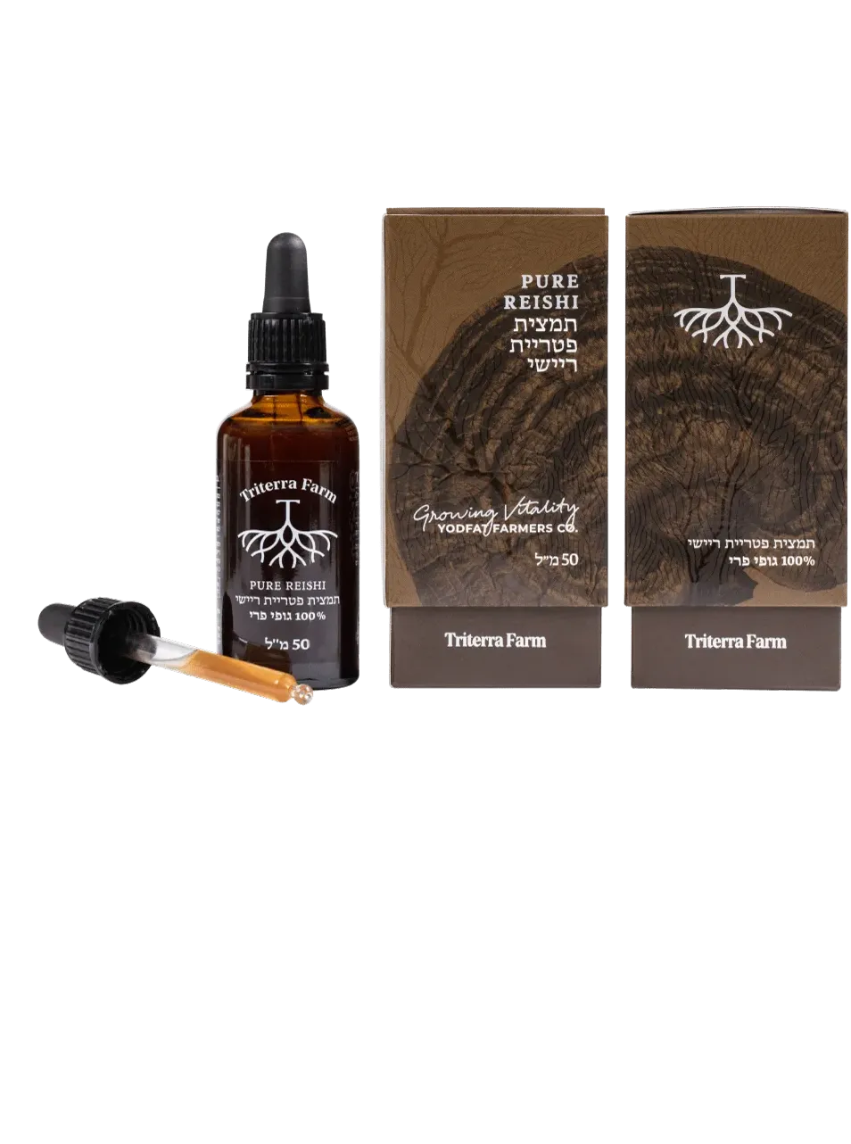 Triterra Farm reishi extract bottle on a table in the evening — the routine that pauses for Yom Kippur and resumes the night after