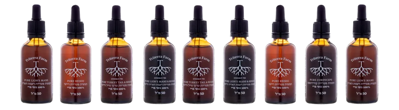 Triterra Farm fruiting-body mushroom extracts in amber bottles with 1 ml droppers